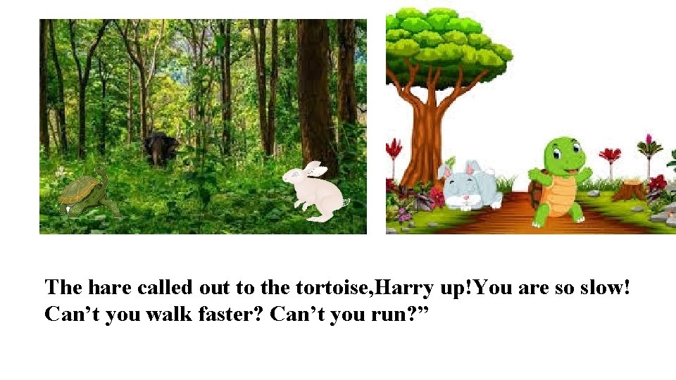 The hare called out to the tortoise, Harry up!You are so slow! Can’t you