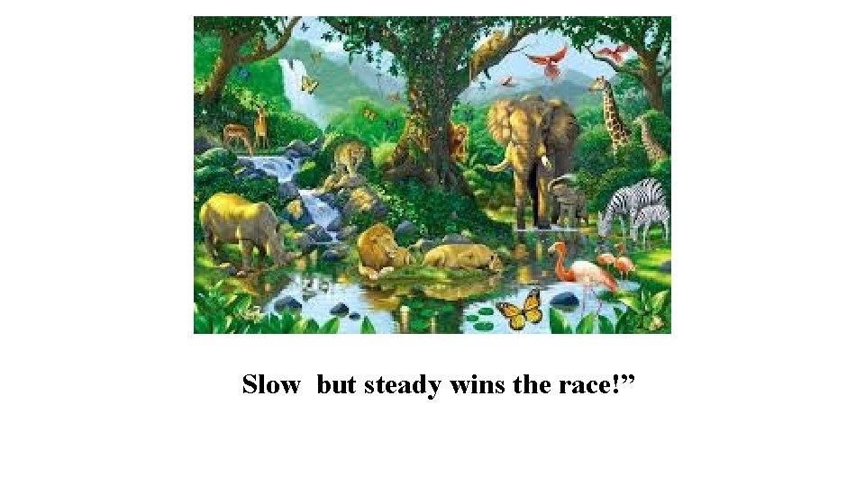 Slow but steady wins the race!” 