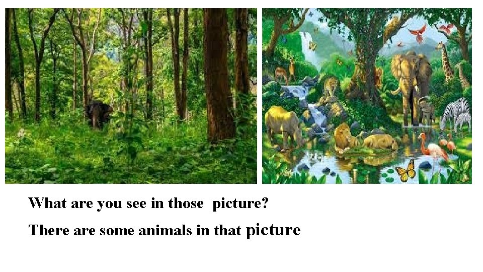 What are you see in those picture? There are some animals in that picture