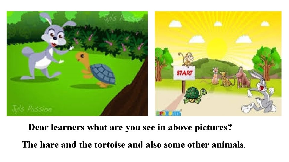 Dear learners what are you see in above pictures? The hare and the tortoise
