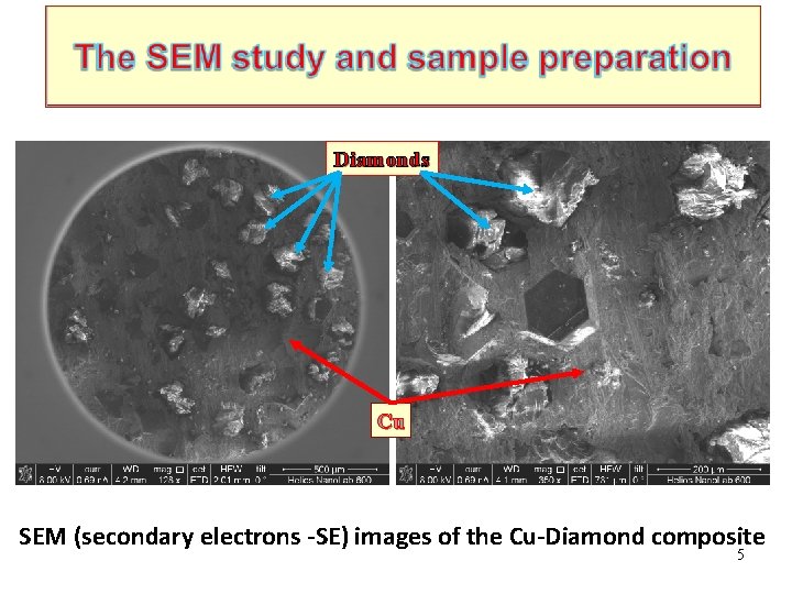 Cu Root Sem National Research Centre Kurchatov Institute Investigations of fast