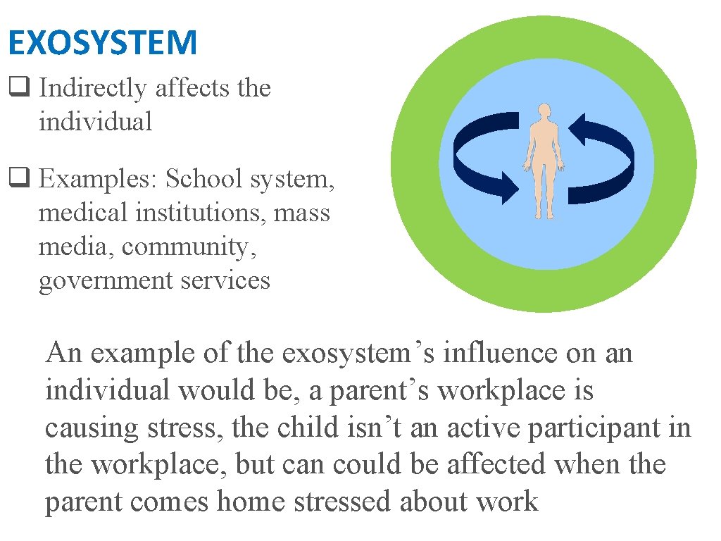 EXOSYSTEM q Indirectly affects the individual q Examples: School system, medical institutions, mass media,