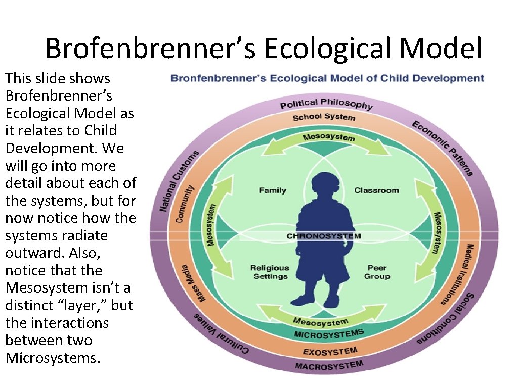 Brofenbrenner’s Ecological Model This slide shows Brofenbrenner’s Ecological Model as it relates to Child