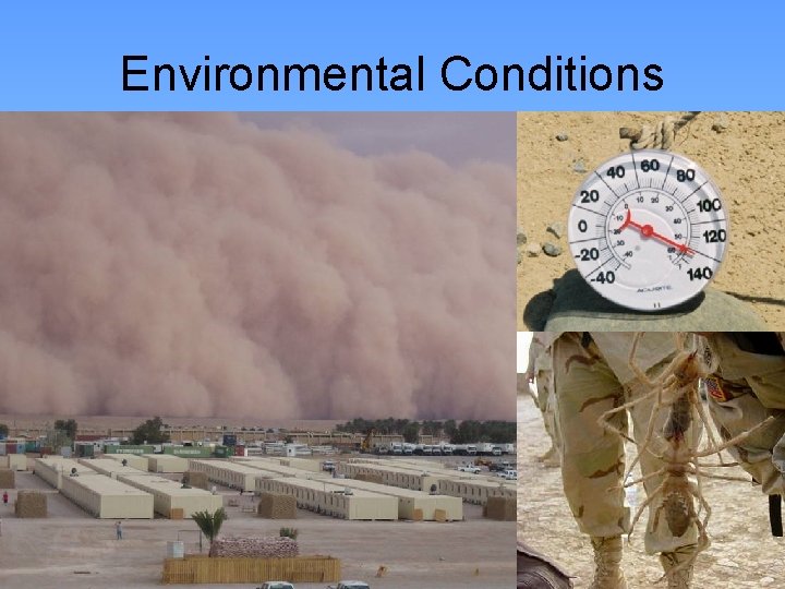 Environmental Conditions 