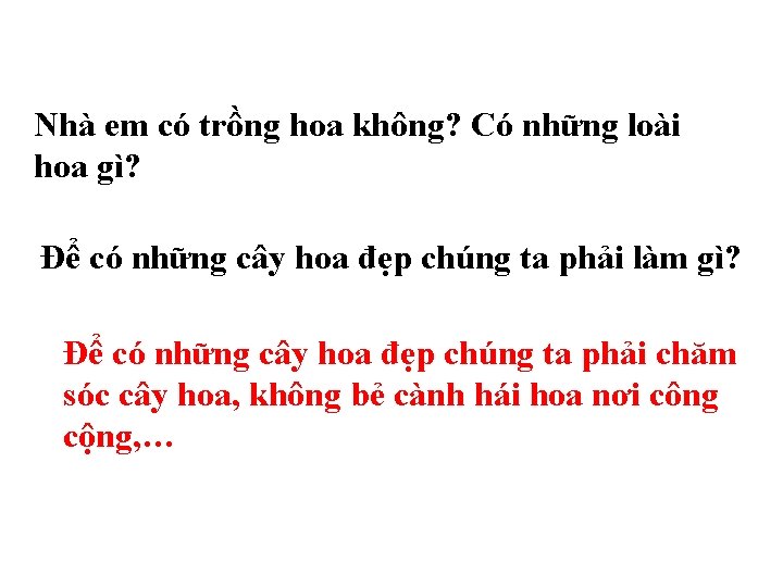 Nhà em có trồng hoa không? Có những loài hoa gì? Để có những