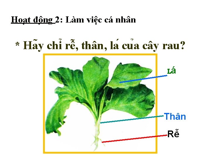 Hoa t đô ng 2: Làm việc cá nhân * Ha y chi rê
