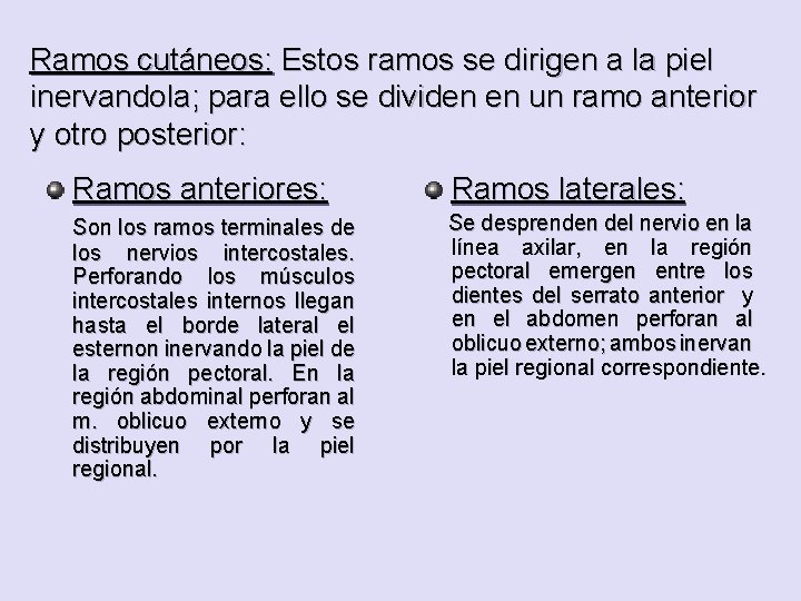 Ramos cutáneos: Estos ramos se dirigen a la piel inervandola; para ello se dividen