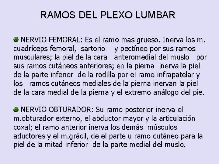 RAMOS DEL PLEXO LUMBAR NERVIO FEMORAL: Es el ramo mas grueso. Inerva los m.