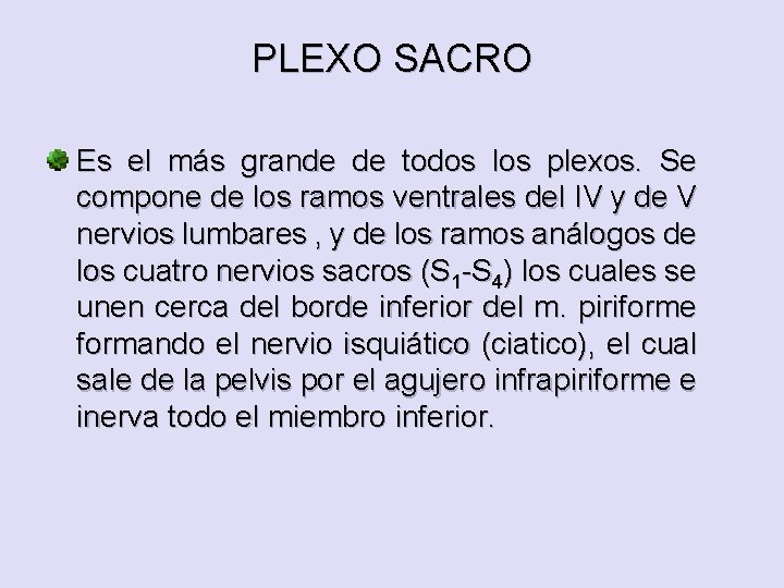 PLEXO SACRO Es el más grande de todos los plexos. Se compone de los