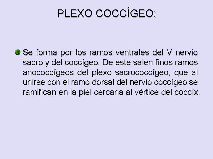 PLEXO COCCÍGEO: Se forma por los ramos ventrales del V nervio sacro y del