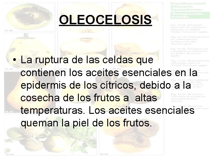 OLEOCELOSIS • La ruptura de las celdas que contienen los aceites esenciales en la