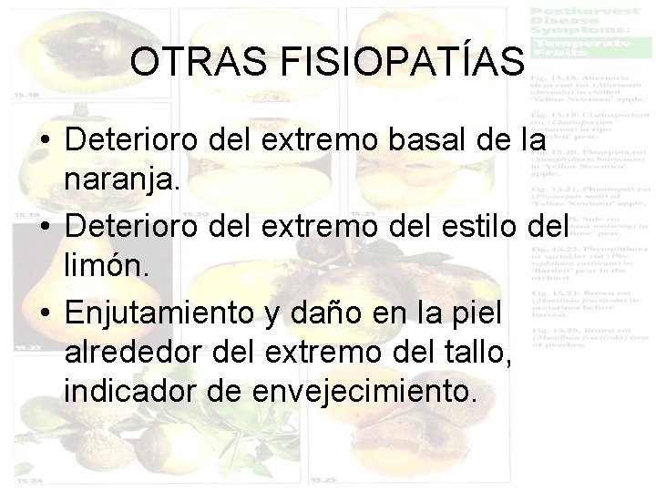 OTRAS FISIOPATÍAS • Deterioro del extremo basal de la naranja. • Deterioro del extremo