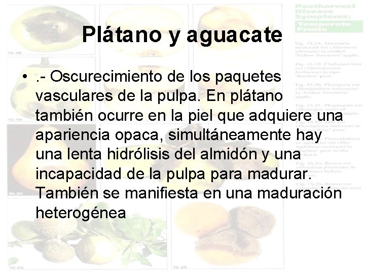 Plátano y aguacate • . - Oscurecimiento de los paquetes vasculares de la pulpa.