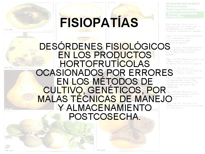 FISIOPATÍAS DESÓRDENES FISIOLÓGICOS EN LOS PRODUCTOS HORTOFRUTÍCOLAS OCASIONADOS POR ERRORES EN LOS MÉTODOS DE