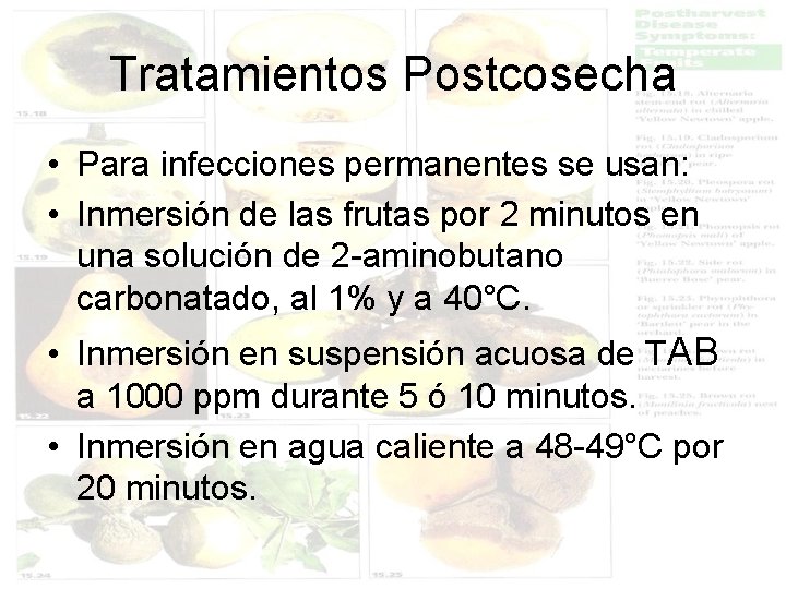 Tratamientos Postcosecha • Para infecciones permanentes se usan: • Inmersión de las frutas por