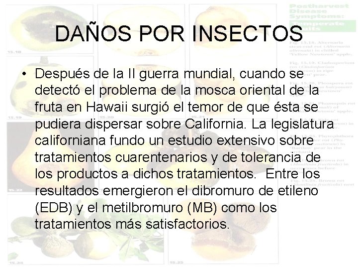 DAÑOS POR INSECTOS • Después de la II guerra mundial, cuando se detectó el