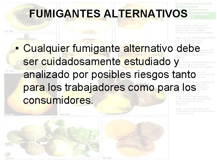 FUMIGANTES ALTERNATIVOS • Cualquier fumigante alternativo debe ser cuidadosamente estudiado y analizado por posibles