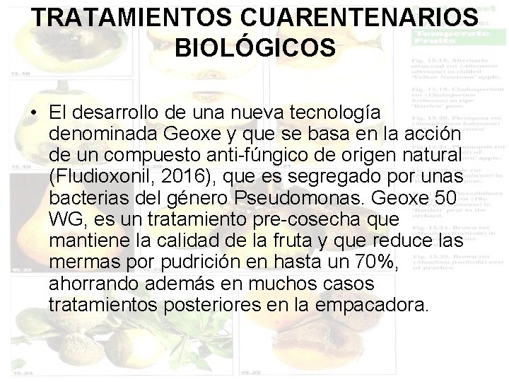 TRATAMIENTOS CUARENTENARIOS BIOLÓGICOS • El desarrollo de una nueva tecnología denominada Geoxe y que