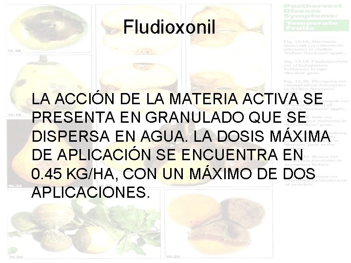 Fludioxonil LA ACCIÓN DE LA MATERIA ACTIVA SE PRESENTA EN GRANULADO QUE SE DISPERSA