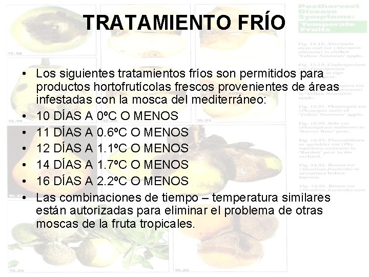 TRATAMIENTO FRÍO • Los siguientes tratamientos fríos son permitidos para productos hortofrutícolas frescos provenientes