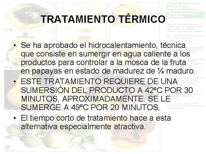 TRATAMIENTO TÉRMICO • Se ha aprobado el hidrocalentamiento, técnica que consiste en sumergir en