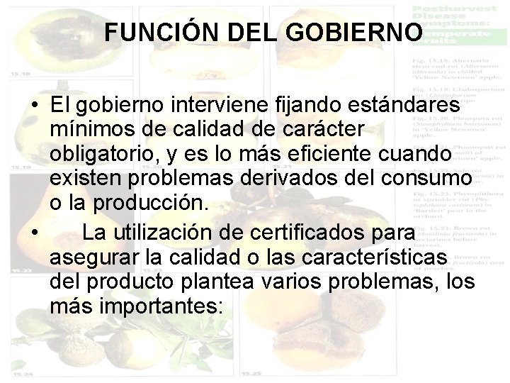 FUNCIÓN DEL GOBIERNO • El gobierno interviene fijando estándares mínimos de calidad de carácter