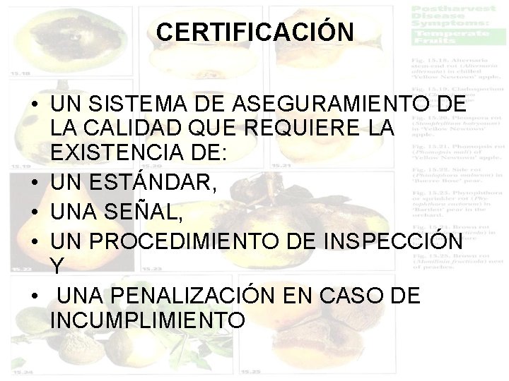 CERTIFICACIÓN • UN SISTEMA DE ASEGURAMIENTO DE LA CALIDAD QUE REQUIERE LA EXISTENCIA DE: