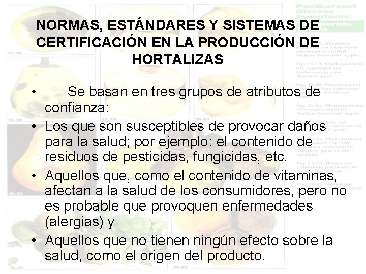 NORMAS, ESTÁNDARES Y SISTEMAS DE CERTIFICACIÓN EN LA PRODUCCIÓN DE HORTALIZAS • Se basan