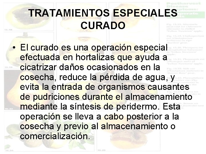 TRATAMIENTOS ESPECIALES CURADO • El curado es una operación especial efectuada en hortalizas que