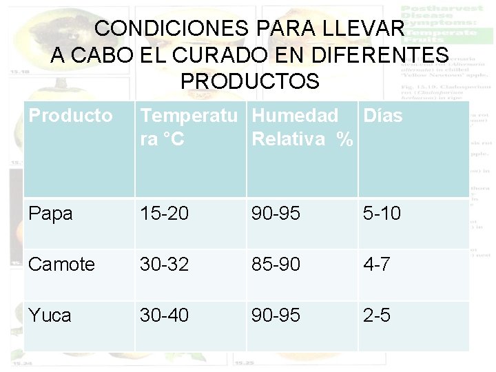 CONDICIONES PARA LLEVAR A CABO EL CURADO EN DIFERENTES PRODUCTOS Producto Temperatu Humedad Días