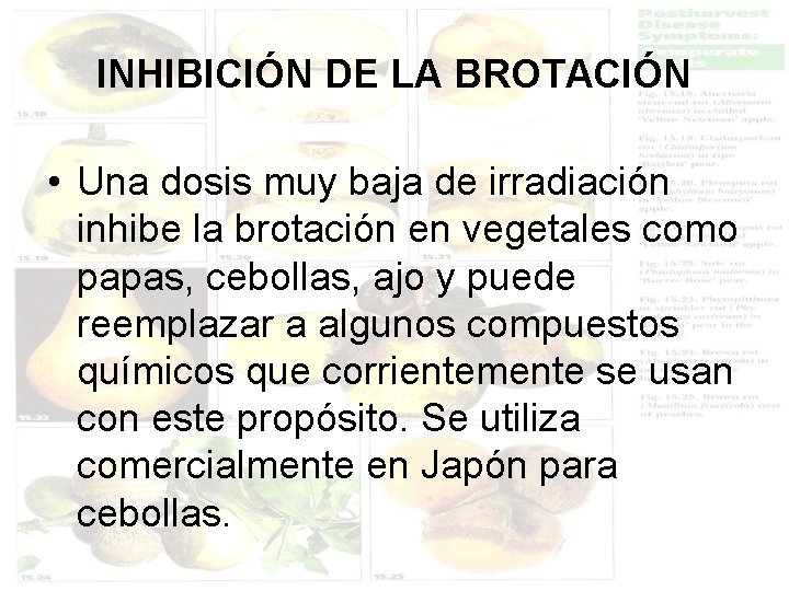 INHIBICIÓN DE LA BROTACIÓN • Una dosis muy baja de irradiación inhibe la brotación