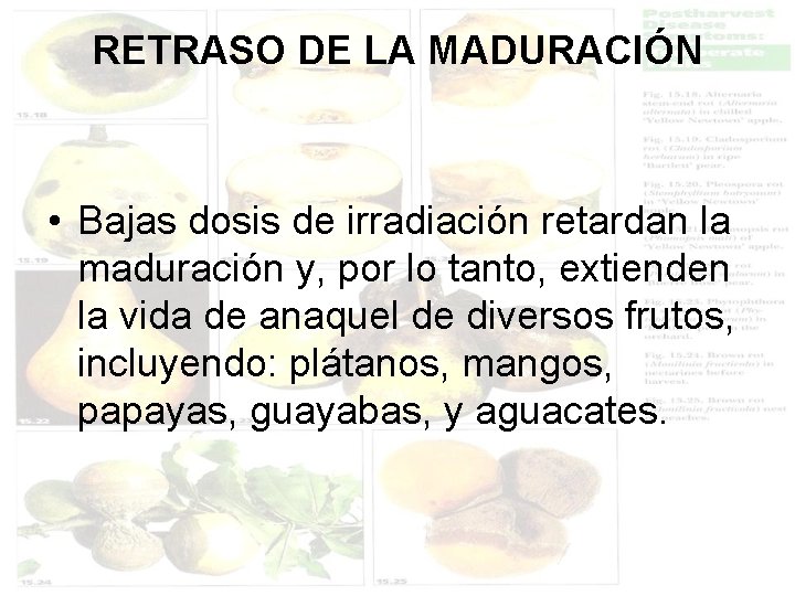 RETRASO DE LA MADURACIÓN • Bajas dosis de irradiación retardan la maduración y, por