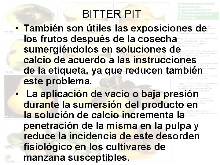 BITTER PIT • También son útiles las exposiciones de los frutos después de la