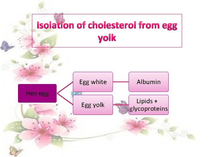Egg white Albumin Egg yolk Lipids + glycoproteins Hen egg 