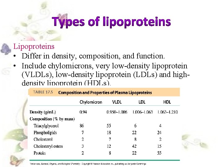 Lipoproteins • Differ in density, composition, and function. • Include chylomicrons, very low-density lipoprotein