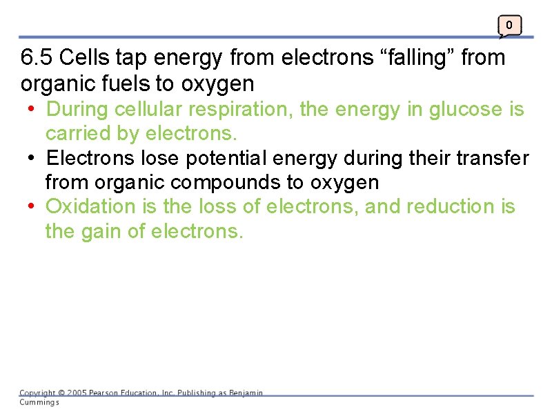 0 6. 5 Cells tap energy from electrons “falling” from organic fuels to oxygen