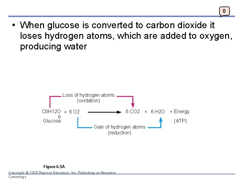 0 • When glucose is converted to carbon dioxide it loses hydrogen atoms, which