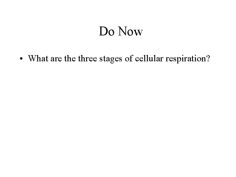 Do Now • What are three stages of cellular respiration? 