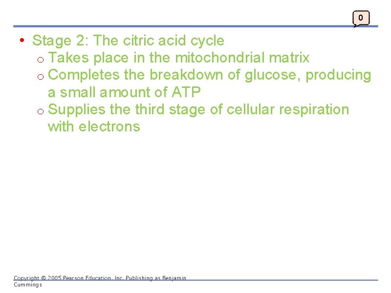 0 • Stage 2: The citric acid cycle o Takes place in the mitochondrial