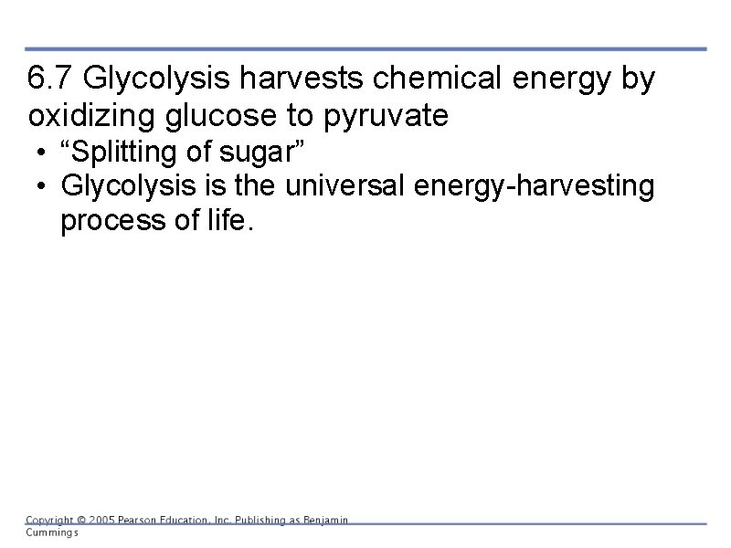 6. 7 Glycolysis harvests chemical energy by oxidizing glucose to pyruvate • “Splitting of