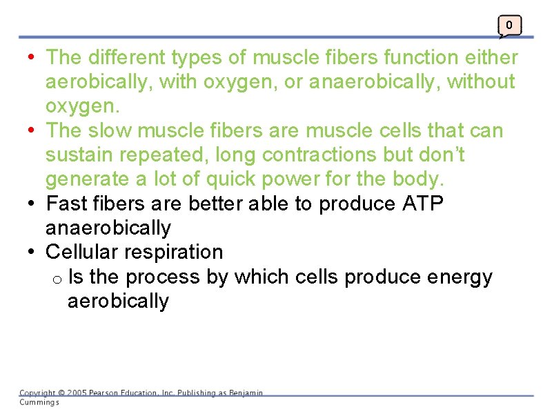 0 • The different types of muscle fibers function either aerobically, with oxygen, or