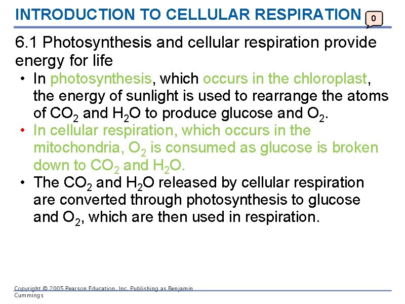 INTRODUCTION TO CELLULAR RESPIRATION 0 6. 1 Photosynthesis and cellular respiration provide energy for