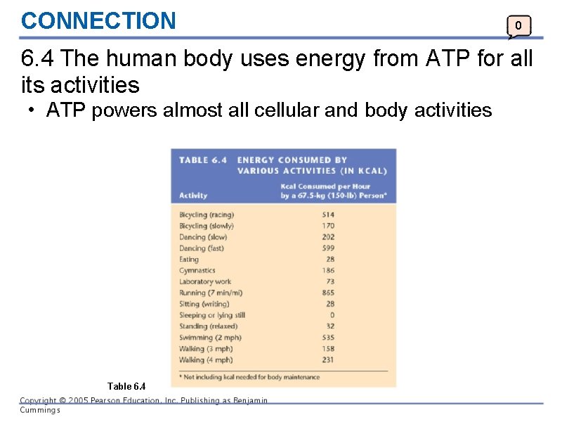 CONNECTION 0 6. 4 The human body uses energy from ATP for all its