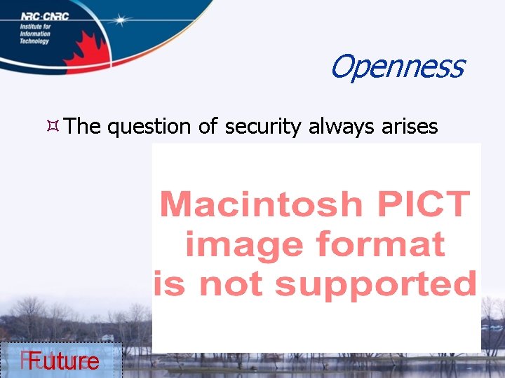 Openness The question of security always arises Future 