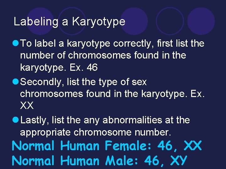 Labeling a Karyotype l To label a karyotype correctly, first list the number of