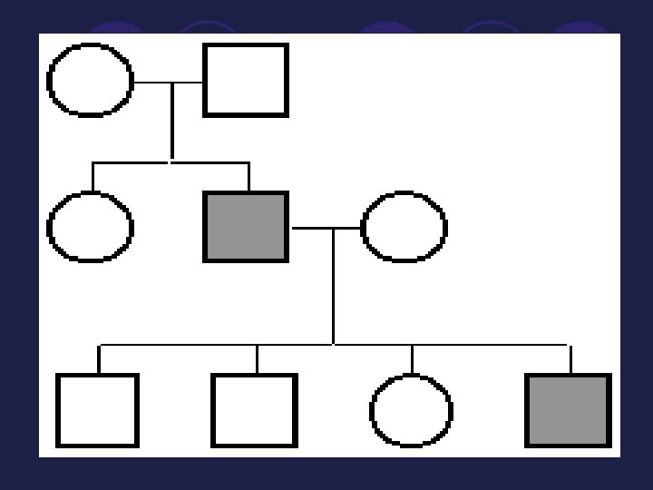 Pedigree l A pedigree shows the relationships within a family and it helps to