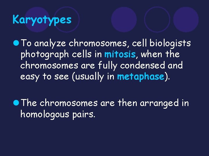 Karyotypes l To analyze chromosomes, cell biologists photograph cells in mitosis, when the chromosomes