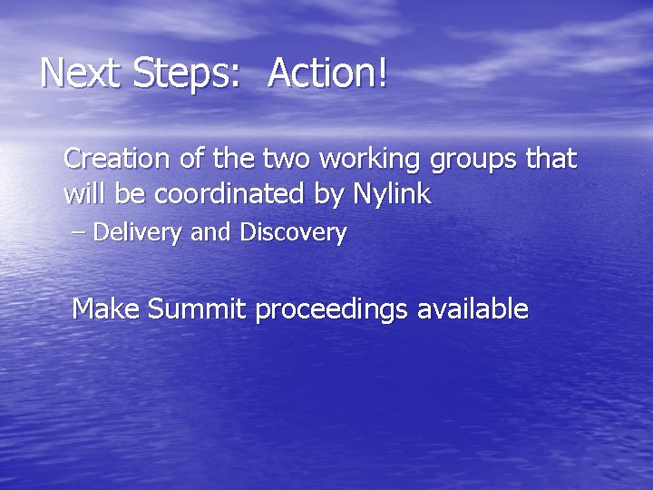 Next Steps: Action! Creation of the two working groups that will be coordinated by