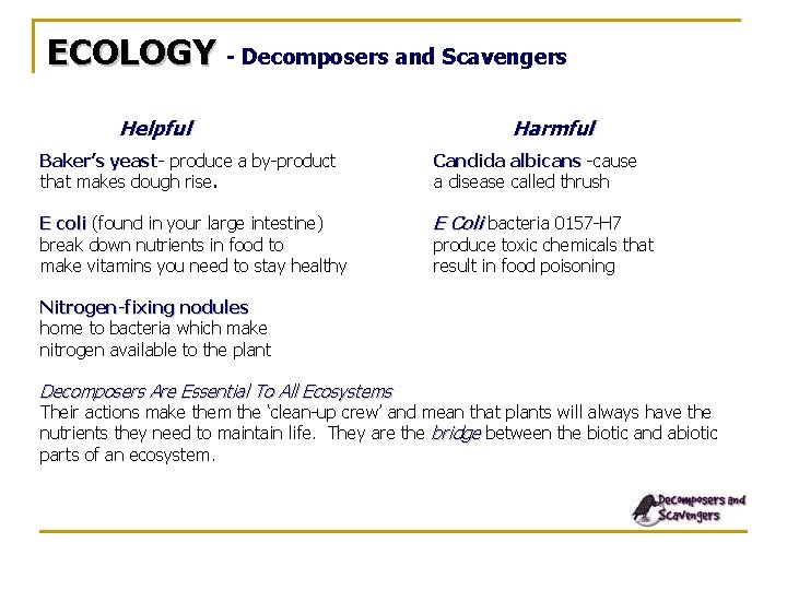 ECOLOGY - Decomposers and Scavengers Helpful Harmful Baker’s yeast- produce a by-product that makes