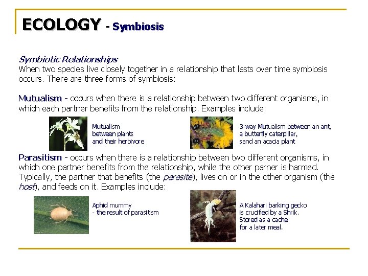 ECOLOGY - Symbiosis Symbiotic Relationships When two species live closely together in a relationship